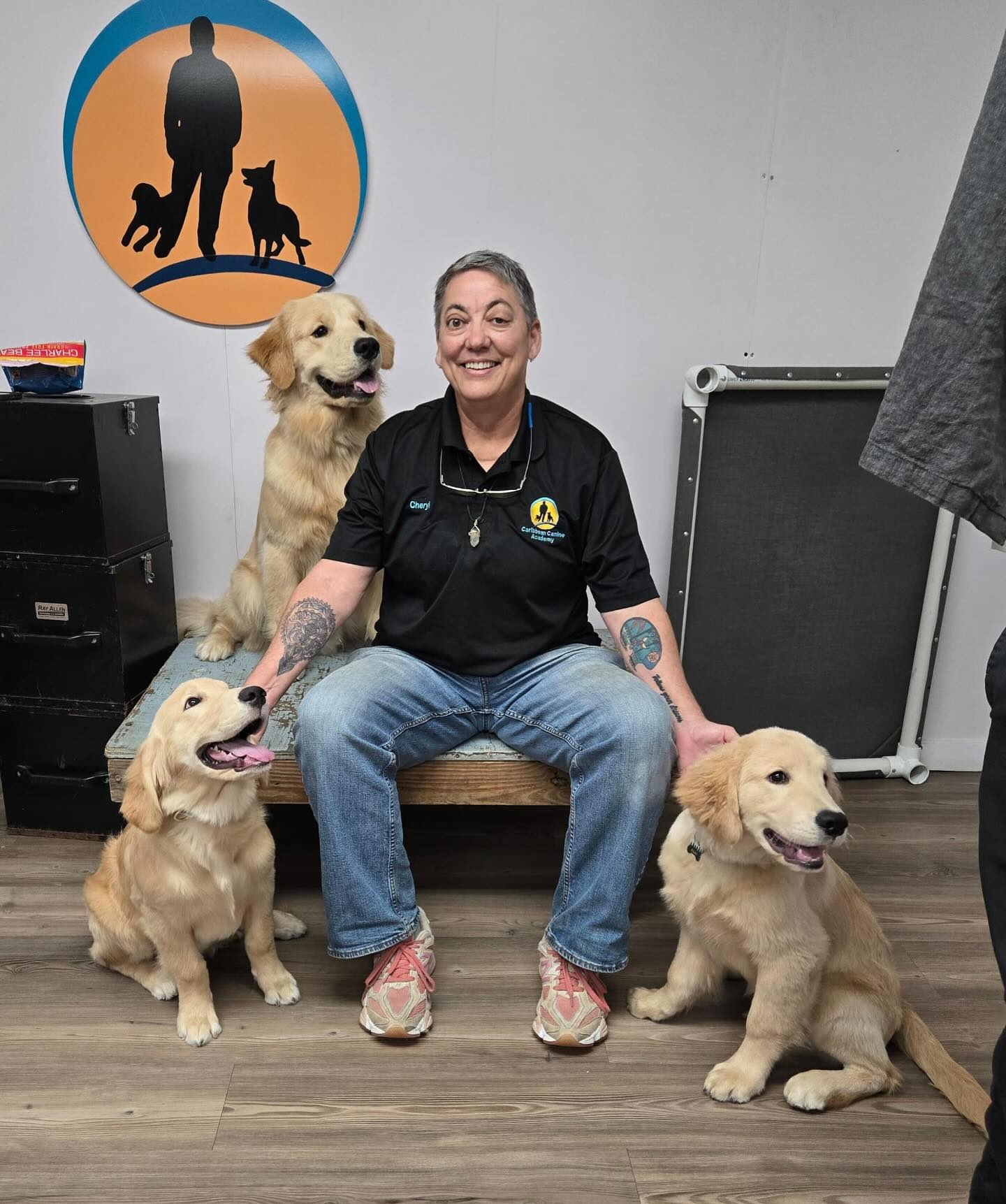 "Normalicemos ENTRENARLOS CORRECTAMENTE antes de llevarlos a lugares públicos y/O donde pueda haber mucha gente u otros perritos."
Para más información WhatsApp al(787)232-5994.
#entrenamientodeperros #dogtraining