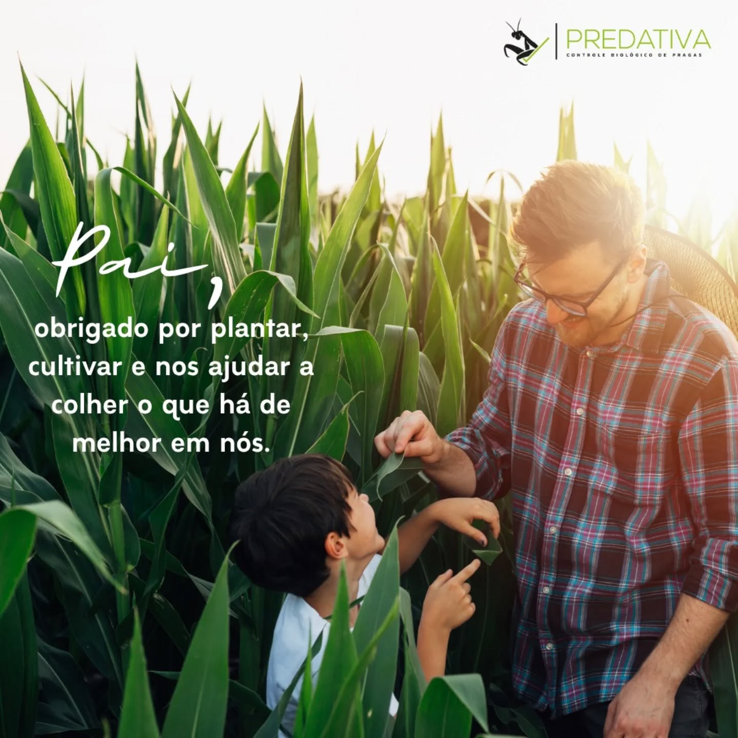 #dadospais #predativa