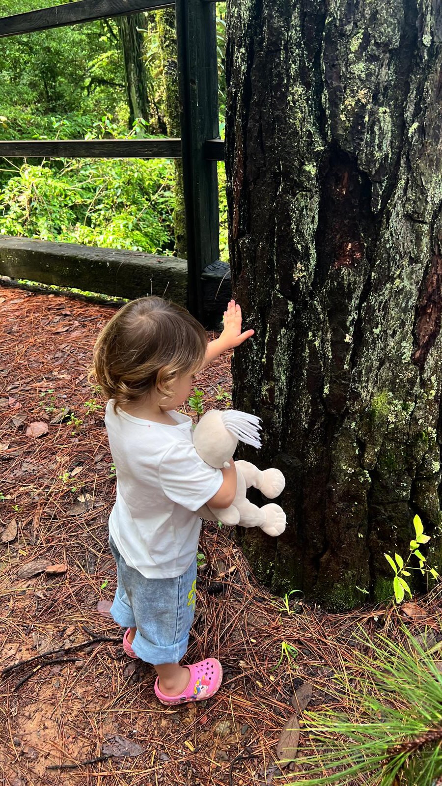 🪶Nuestro nido, este lugar que habitamos con el alma abierta, para ver a Kai crecer en un ecosistema vivo y cambiante a su ritmo🦋
Desde la vulnerabilidad que implica soltar todo lo demás
Elijo lo que nos hace bien, nos conecta como familia y nos da momentos sagrados irreemplazables 🤍🌱
🤲🏼
🐆
#MaternidadAncestral #SabiduríaFemenina #TierraFértil #MaríaTierra #RetirosSagrados #AyurvedaMaterna