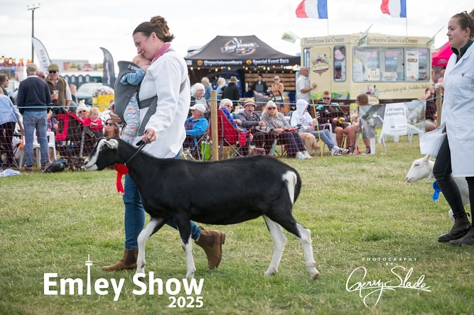 EMLEY SHOW GRAND PARADE 🐐
Giulietta, Jess & little Lainey having a crackin’ time in the Grand Parade @emleyshowsociety
📸 @gerrysladephotography
.
#MarshValleyDairyGoats #FamilyLife #EmleyShow #DairyShows #GrandParade #GoatsMilkSoap #AgriculturalShow #FamilyBusiness #FirstShowSeason #StartEmYoung #MadeInYorkshire #BabiesFirst #GoatsOfIG #BritishAlpine