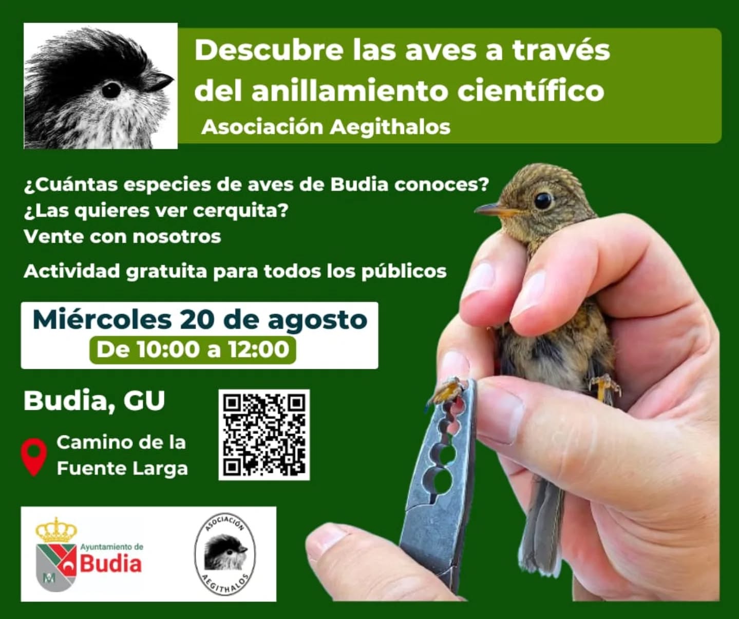 📢 Nueva actividad de anillamiento científico
📍Budia (Guadalajara)
🗓️ 20 de agosto
ℹ️ Más información en cartel
#avesdeguadalajara #observacióndeaves #asociaciónaegithalos #conservacióndelanaturaleza #guadalajaraespaña #Budia #anillamientocientíficodeaves