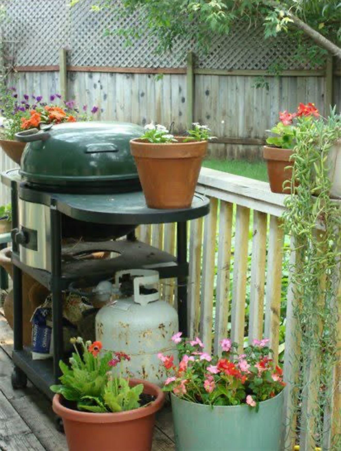 🌸 A Breath of Fresh Air at Oak Tree Lodge 🌿
Our beautifully landscaped yard is more than just a view—it’s a peaceful escape where residents can relax, enjoy the sunshine, or take a quiet stroll among nature. 🌞🌳🌼
Thoughtfully designed to promote serenity, comfort, and connection with the outdoors—because every detail matters when it comes to feeling at home.
Come see why our residents and families love it here. 💛
📍Oak Tree Lodge | Family-owned RCFE
#SeniorLiving #AssistedLiving #OakTreeLodge #RCFE #ElderCare #PeacefulLiving #GardenViews #NatureAndCare #feelslikehome