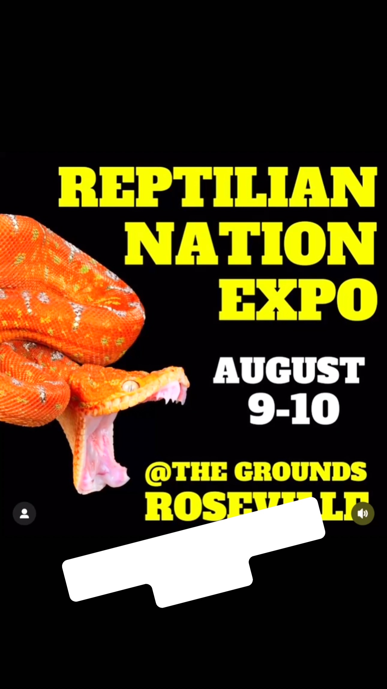 #reptiliannationexpo at #roseville this weekend! Come check us out with our new #bioactive terrarium setups for your #crestedgeckos. It’s like #nothingyouveseenbefore and will #blowyourmind
See you this weekend #reptilelovers in the #sacramento area.