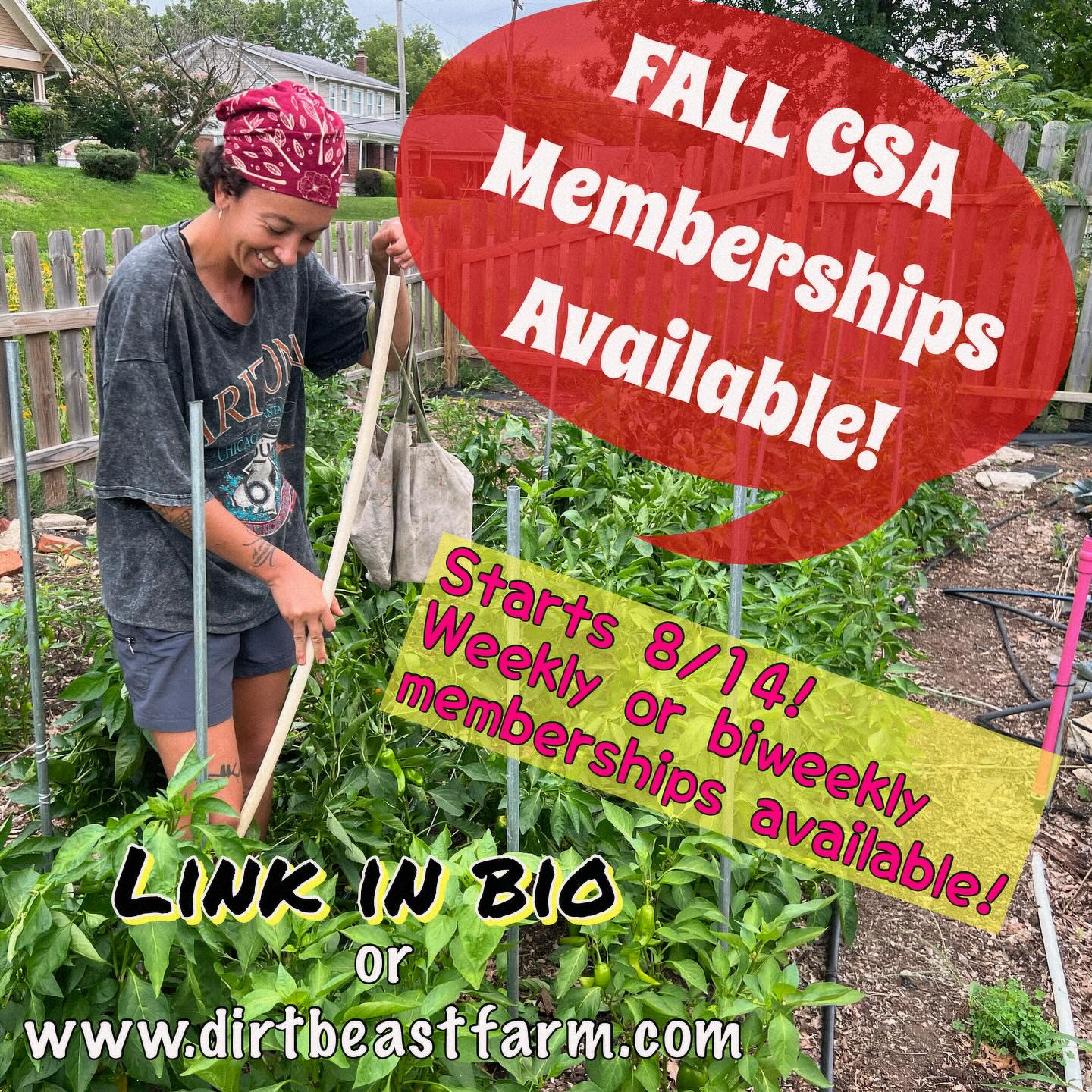 We’re gearing up for a kick-ass fall season! If you’re a fan of CSAs and want to jump on one this fall, check out the link. Starts next week, so you’ll both get peak summer crops as well as tasty+tender fall greens, roots, and bulbs!