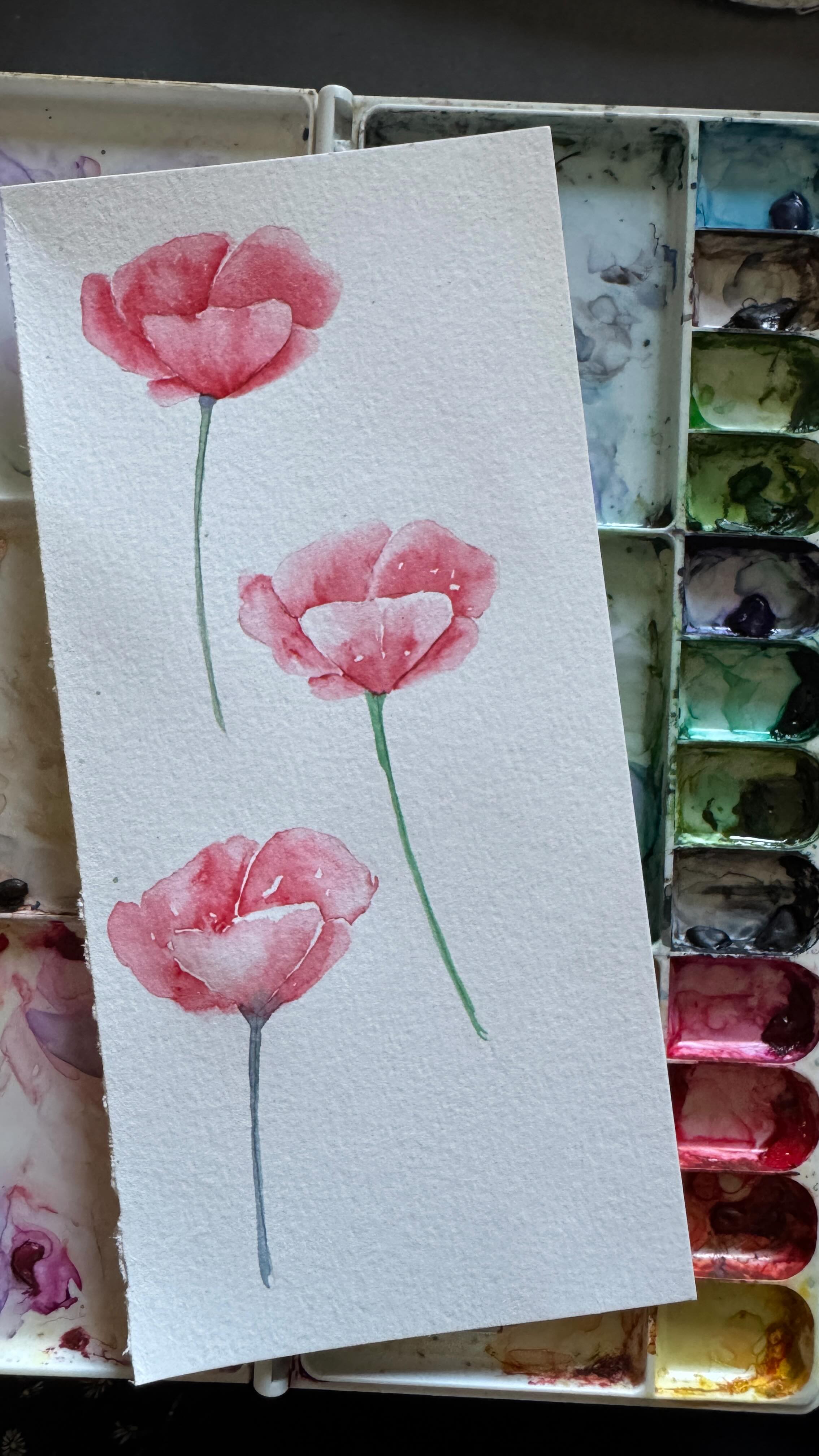 Poppies!
3 different ways.
❤️Wet on dry
❤️Wet on Wet
❤️Wet on Wet again!
More control to less control 😆
I always feel to go more abstrack and lose in your painting style you need to understand value first.
*@toni_pepperoni had obviously also something to say 🫣
#watercolorart #watercolortutorial #watercolorpainting #watercolorpoppies