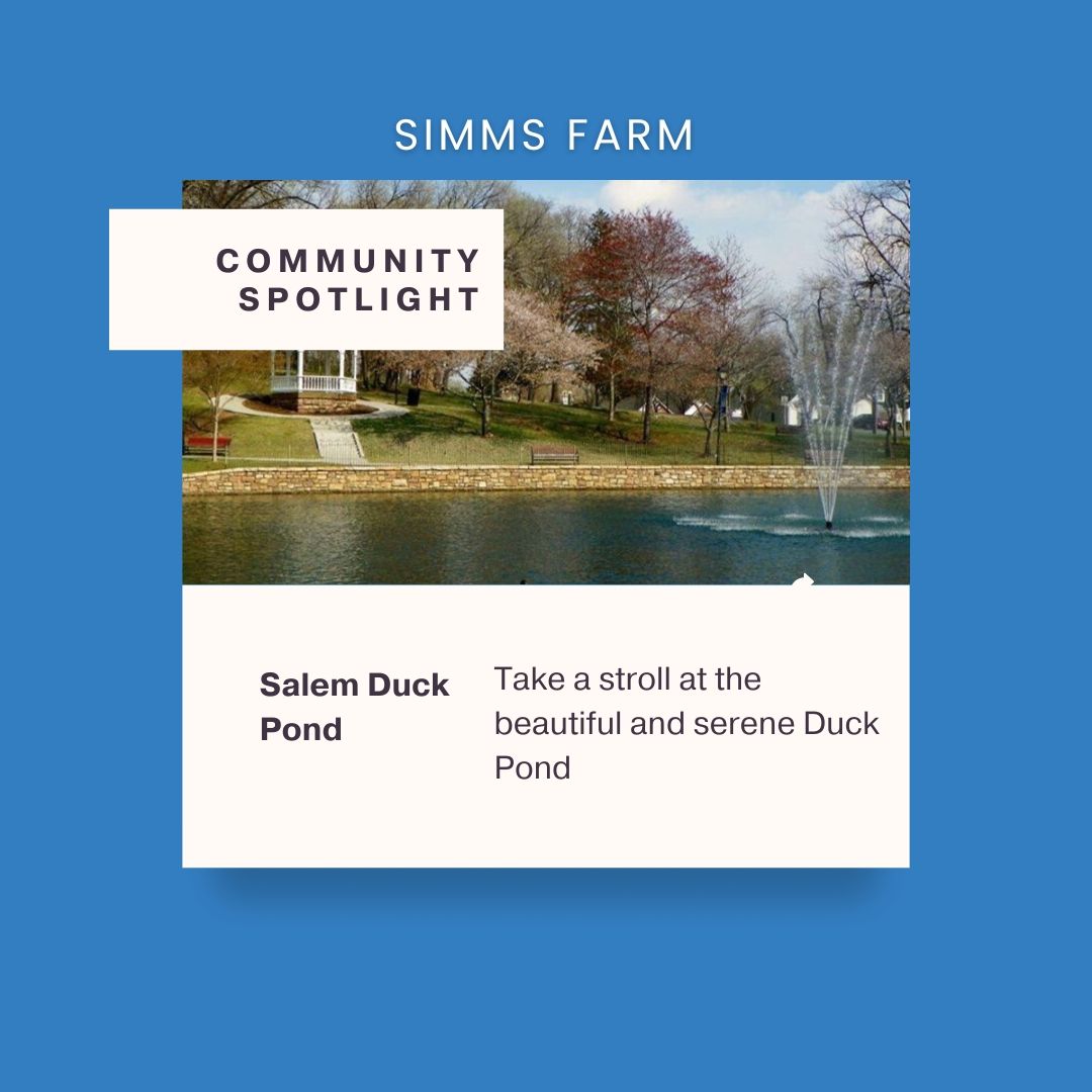 Community Spotlight! Enjoy time outdoors at Salem's relaxing duck pond.