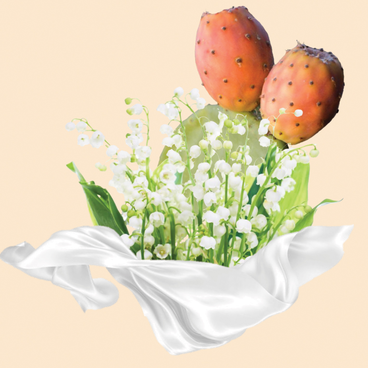 NUTRI CARE is a fragrance that awakens the senses with a vibrant opening. A radiant burst of prickly pear brings a juicy freshness, balanced by the tart, fruity depth of blackcurrant. The fragrance unfolds into a graceful bouquet where the green elegance of lily of the valley blends into with luxurious datura. It melts into a comforting veil of white musk, leaving a clean, sheer, and subtly seductive trail.
Created by Anton Jimmy Studer.