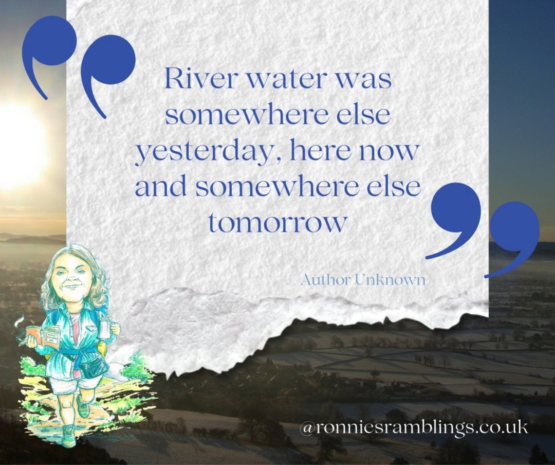 ✨ Weekly Smiles from Ronnie ✨
Ronnie’s notebooks are little treasure chests of joy, eccentric wisdom, and unexpected giggles — just the thing to brighten up your day!
#WeeklySmilesFromRonnie #RonnieQuotes #notebooklove #ronniesramblings #ronniesgifttous