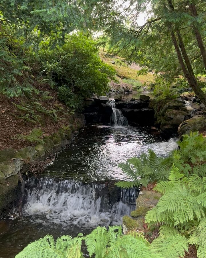 Little July moments of self-care ✨