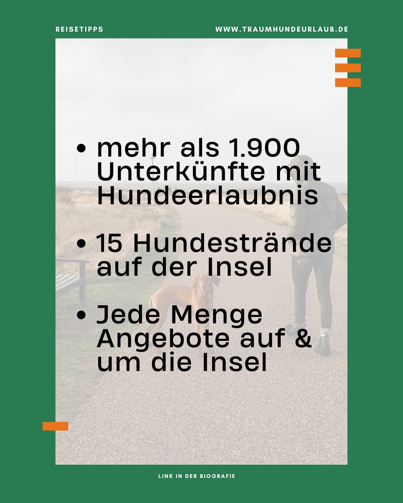 🐶🌊 Urlaub mit Hund auf Sylt? Ein echtes Hundeparadies!
In unserem neuen Blogpost verrate ich dir:
🐾 Wo dein Hund ohne Leine am Strand toben darf (Spoiler: Es gibt mehrere Hundestrände!)
🚶♀️ Die schönste Wattwanderung mit Hund
🦴 Und wo es die besten Hundemenüs auf der Insel gibt (ja, wirklich!)
Plus: Tipps zu hundefreundlichen Unterkünften & Cafés 🐾☕️
👉 Wenn Sylt, dann so! Jetzt lesen – Link in Bio.
#syltmithund #hundeurlaub #nordseeurlaub #reisenmithund #pfotenabdruckimSand #traumhundeurlaub #dogtravel #reiselust #hundeglück #hundemachenglücklich