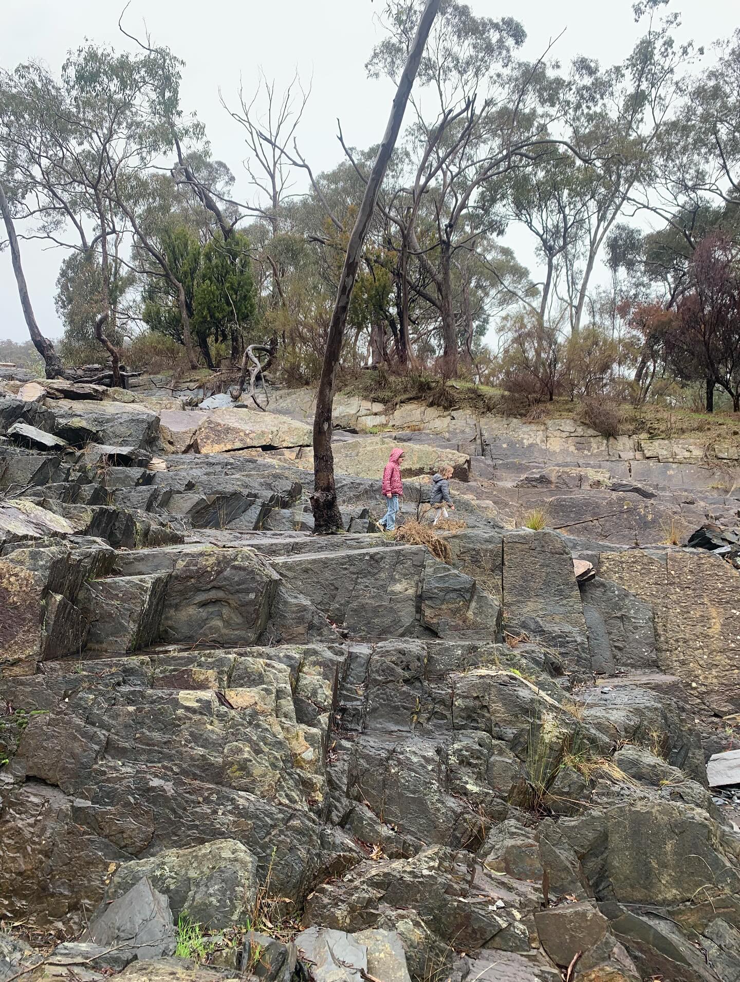 🍃Pretending
Maybe not everyone is coping with the way we live.
Maybe some are just better at pretending they are.
I work with the ones who can’t pretend—
who won’t pretend anymore.
Whose bodies tighten at the pace,
whose nervous systems flinch at the noise,
whose whole being whispers,
none of this is okay.
The ones who carry truth in their cells,
who feel the ache of disconnection,
who know—deep down—
that another way is not only possible,
but already calling.
You are not too much.
You are not broken.
You are just awake.
And you are not alone.