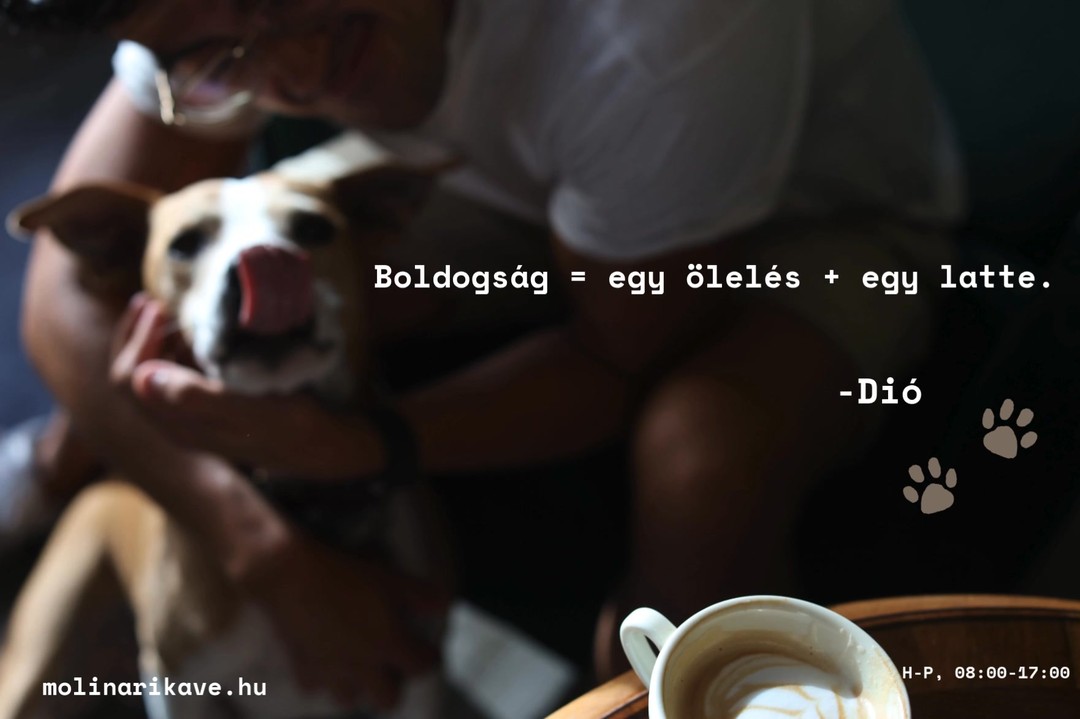 ☕🐾 = legjobb kombó.