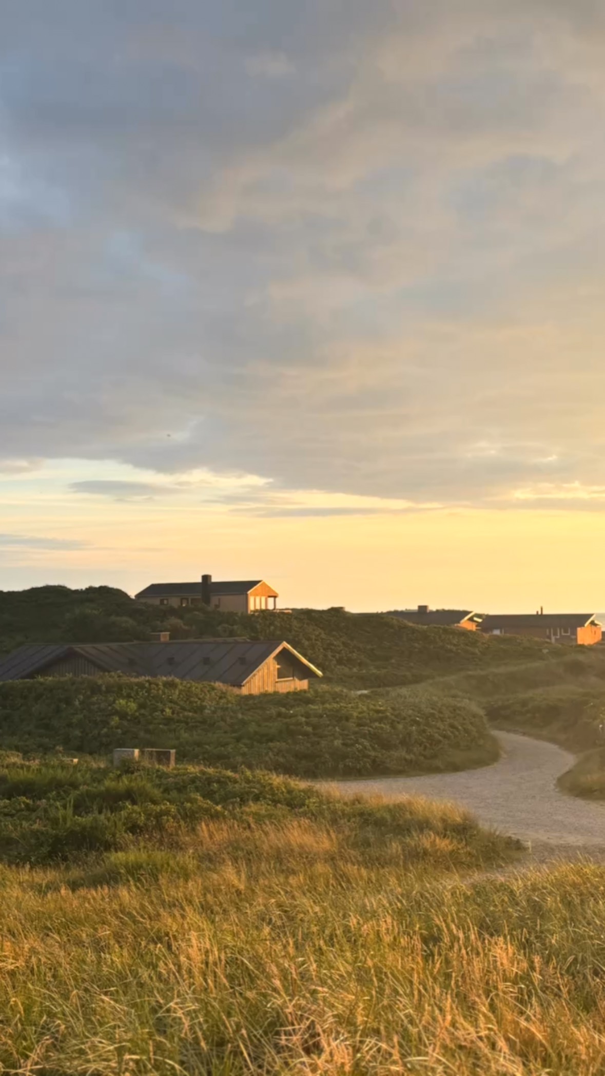 #sommer#sun#dänmark#sweden#bestdays#happyness#sunnydays