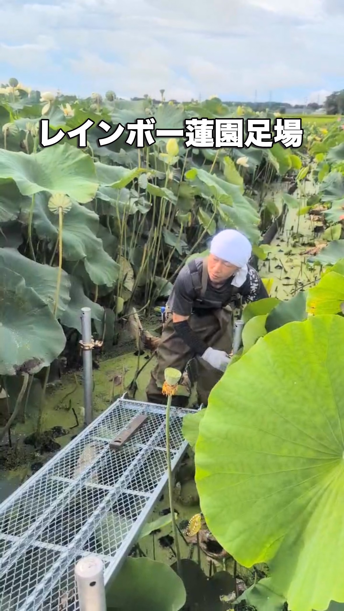 #蓮 #レインボーハス園 #生出 #生前整理 #ハウスクリーニング #八幡平市 #盛岡市 #遺品整理弘光 #コリーヌドゥガブリエル