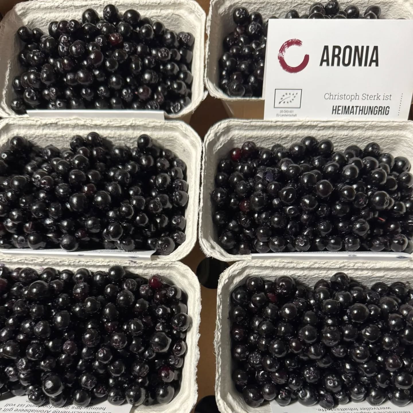 Die Aronia Ernte 2025 hat begonnen 🎉
Wir freuen uns schon darauf, euch die Superfood Beere in unserem Hofladen zu verkaufen 🤗
#aroniabeere#hofladen#superfood#topping
