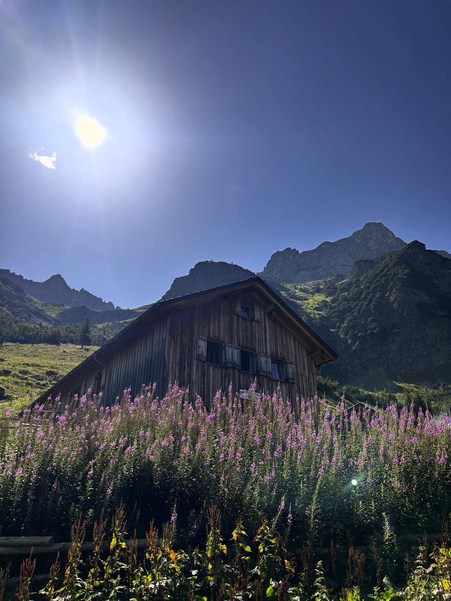 Manchmal braucht’s nur ein bisschen Sonne, um wieder bei sich anzukommen ☀️🏔️
#Sarotlahütte #Sonnenzauber #Bergmomente #Auszeit #Sonnenmomente #Bergzeit #Herzvoll #Naturgenuss #Alpenliebe #Hochgefühle #Wanderlust #Berghütte #Ruhefinden #Naturpur #Sommergefühle #Bergliebe #Outdoorglück #InDenBergen #GoldenesLicht #Sonnenwärme #brandnertal #alpenverein #alpenvereinshütte #sarotlatal