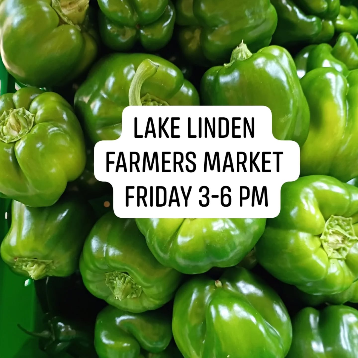 Lake Linden Farmers Market – Where Community Grows! 🌻
Come soak up the sunshine and small-town charm at the Lake Linden Farmers Market!
Friday 3-6 PM Village Park ✨