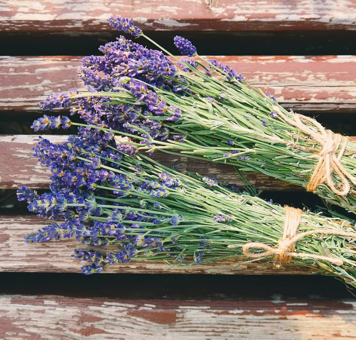 La Lavande 💜💟💜 
#lavenderdream #lavenderlove #frenchlavender #lavenderflowers #frenchsummer #lavenderinfrance