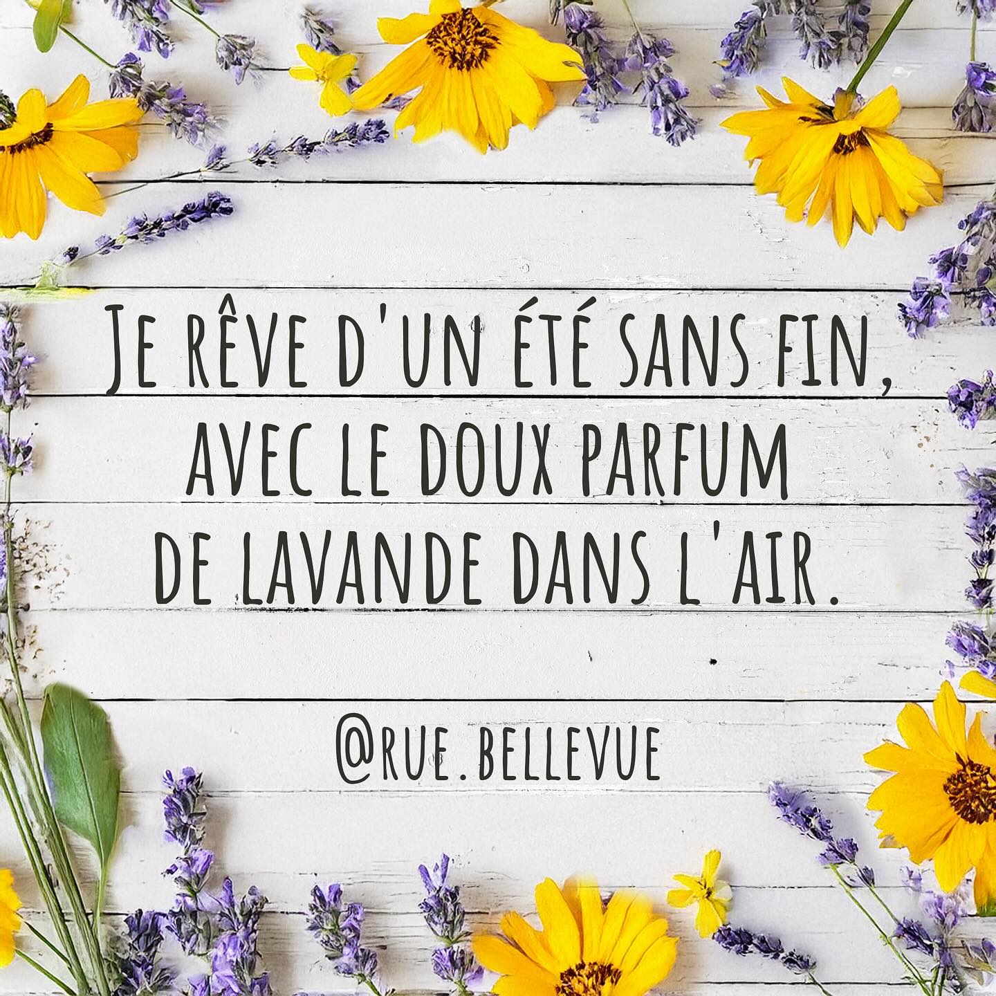 I dream of an endless summer, with the sweet scent of lavender in the air 💜 #joysofsummer 
#summerlove #lavender #summerlavender #frenchlavender #frenchsummer #lété #summerdays #dreamsofsummer #dreamingofsummer
