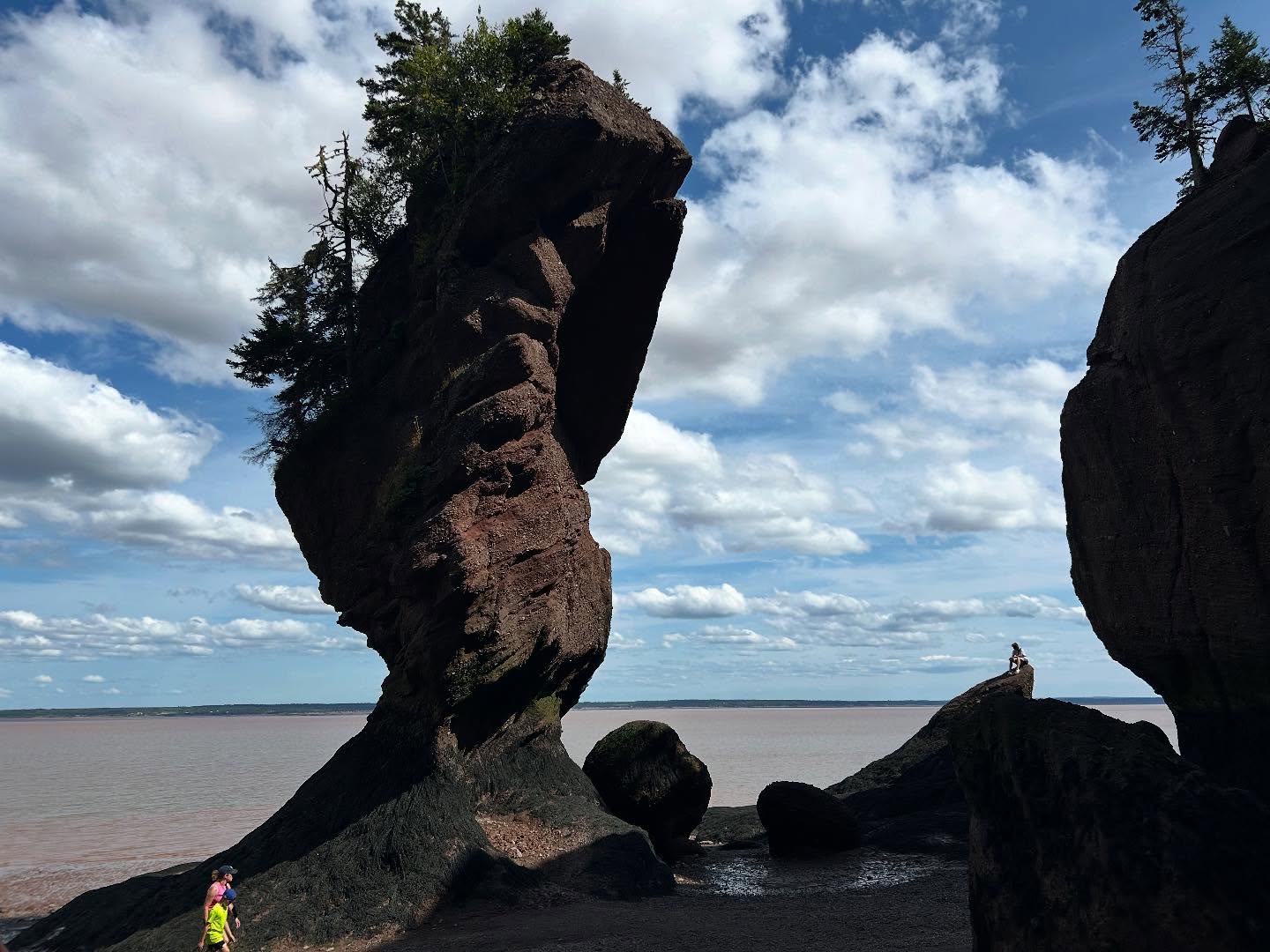 Magnifique découverte des rochers de La baie de Fundy! #baiedefundy #baiedefundyvoyage #rochershotwheels
