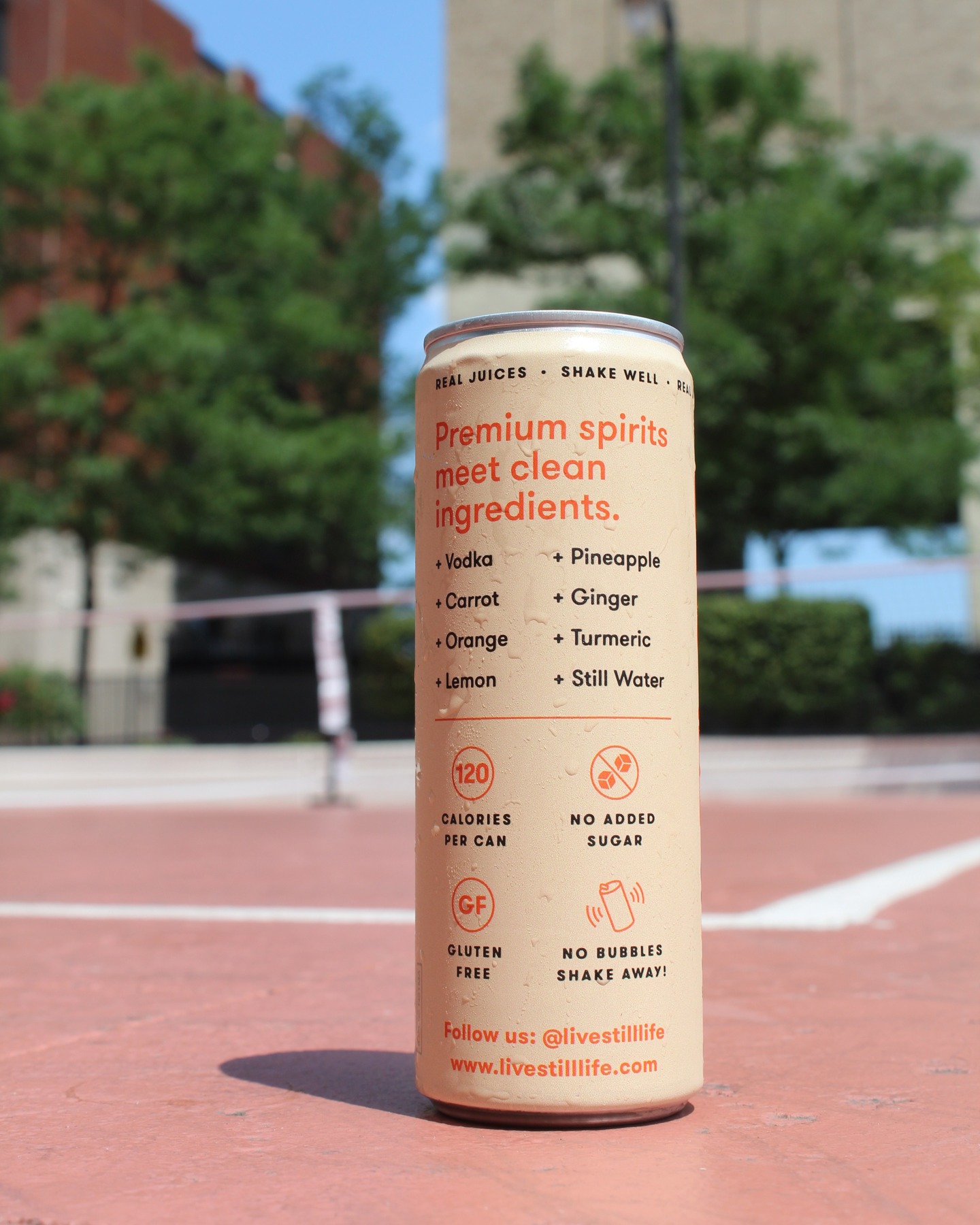 Pickleball and pressed juice cocktails? Show us how you #livestilllife 🎾
#pickleball #summernyc #nyc #cannedcocktails #stilllifecocktails #pressedjuice #nycpickleball