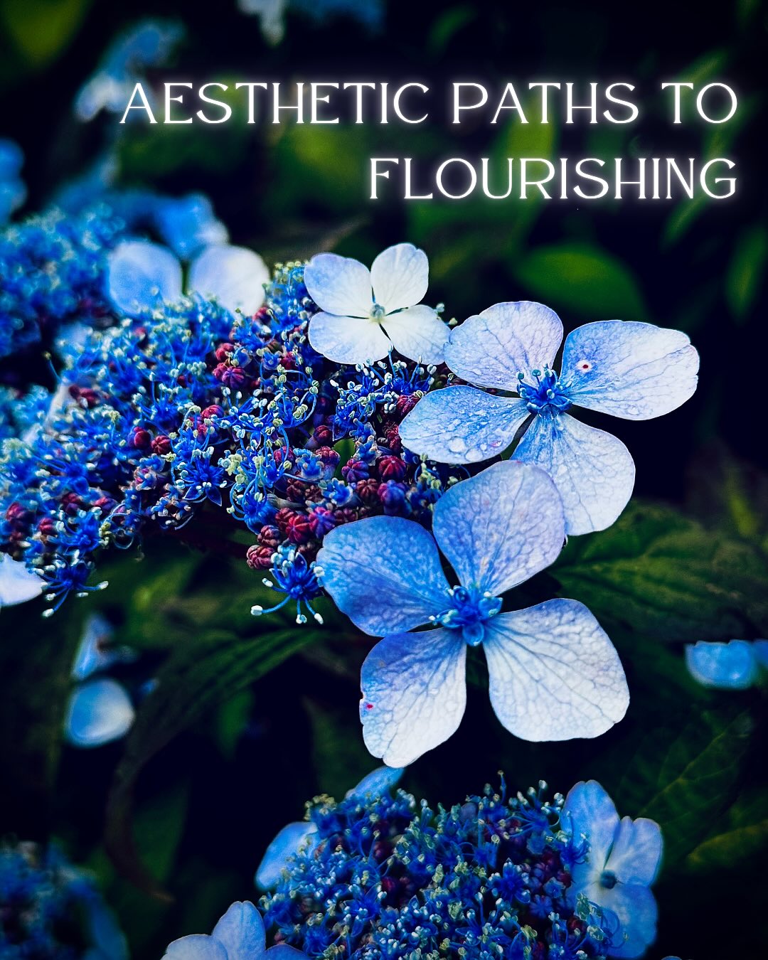 After long hours in front of the computer, especially on grey, rainy days, I’ve noticed how my body and mind can feel heavy, drained, and uninspired by the everyday routine… Instead of collapsing onto the couch and complaining about the weather, I’ve learned to take a short walk in the neighbourhood, noticing and photographing little things that catch my eye. Or light an incense stick and let its aroma fill the space. These small moments of beauty always shift something inside me, instantly.
Based on my own experiences over the years, I think beauty is not just decoration; it can lift our mood, calm our minds, and change how we move through the day.
And aesthetic experience doesn’t have to be grand or expensive.
Sometimes it’s a slant of light, the feel of a well-loved cup, or a few colours that just belong together.
Small, simple things that turn an ordinary moment into something a little extraordinary.
On Oct 5 & 19, Michael Spicher and I will hold the course Aesthetic Paths to Flourishing again. We want to create a space for you to slow down, rethink what beauty means to you, and explore how it can nourish your well-being and everyday life, one simple moment at a time.
Beauty isn’t something we own.
It’s something we live and create.
→ Link in bio to join us.
#aesthetics #wellbeing #flourishing #beauty #art #nature #inspiration #creativity #onlinecourse #globalcommunity #artfulliving #mindfulness #selfleadership #empowerment #newwayofliving #workplacehealth #mentalhealth #healthandwellnesscoaching