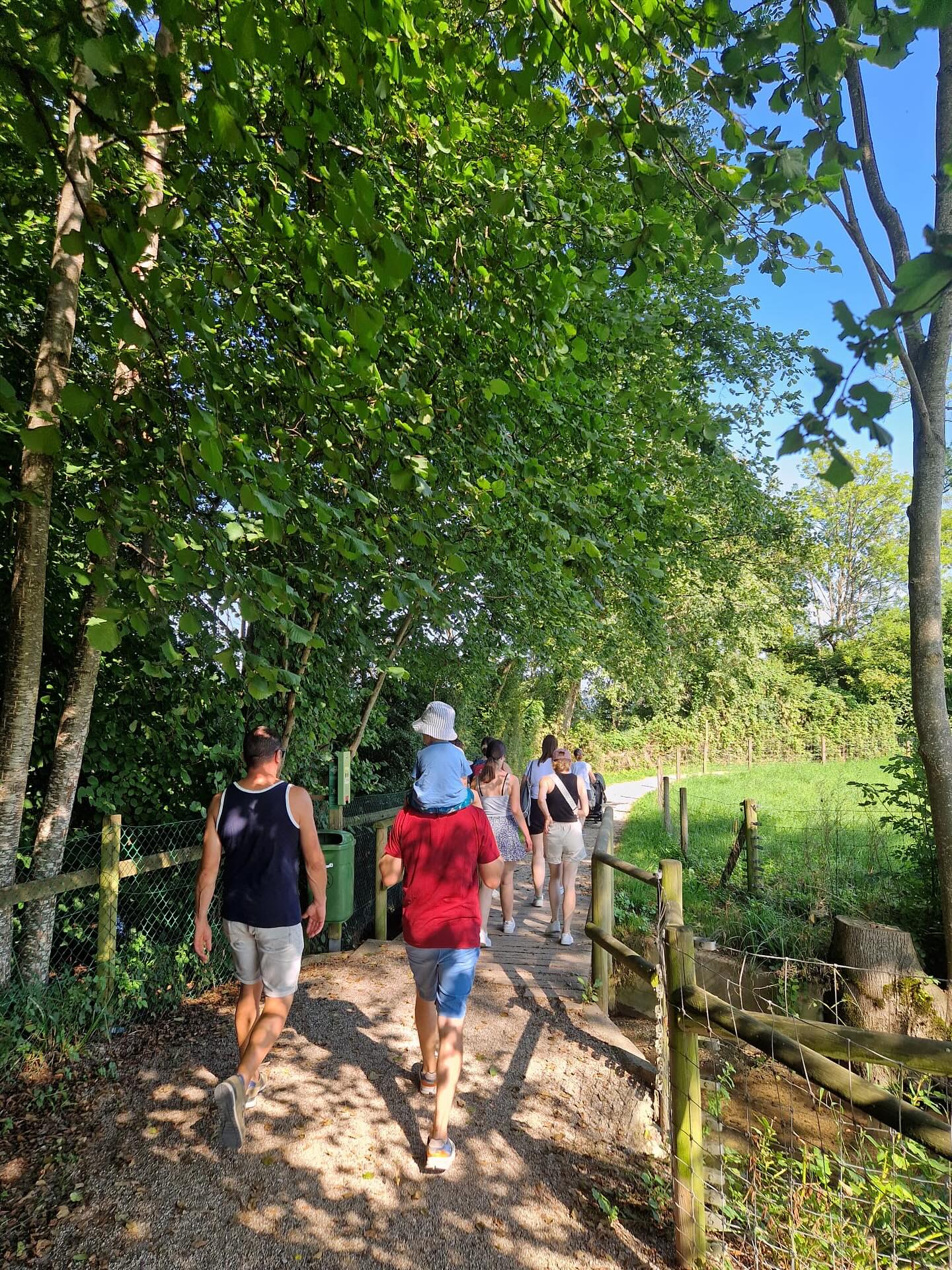 Picknick 2025 ☀️
Bei strahlendem Sonnenschein sind wir von Baldegg nach Richensee gewandert. Im Schützenhaus haben wir grilliert und ein paar gemütliche Stunden miteinander verbracht. 🤩
Eine Abkühlung durfte bei den heissen Temparaturen auch nicht fehlen.💦
#hmh #harmoniemusikhitzkirchertal #picknick #grillen #abkühlung