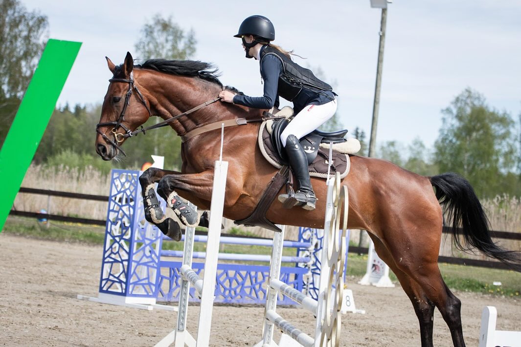 Tervetuloa kotiin ihana Cara ❤️
Cara on 13-vuotias estetamma, joka muutti meille viime viikolla Hiidenmaalta Virosta. Koeratsastuksen kanssa tuli aikamoinen hoppu, kun myöhästyttiin Tallin ruuhkien vuoksi lautasta, mutta todella kiva tamma saatiin 😍
Cara on kiltti ja opetusmestarityyppinen. Caran kanssa pääsee kisaamaan 80-95 tasolla. Cara liikkuu kivasti myös sileällä. Ja sellainen fiilis, että voisi olla myös maastoesteillä kiva 😍
Cara tuli täsmänä Sinille, mutta yksi kisaamisesta kiinnostunut mahtuisi vielä mukaan ☺️
Vapaat hevoset päivitetään aina meidän sivuille omahevonen.fi
Hevosista voi kysellä myös suoraan meidän opettajalta Nooralta ☺️
📞044 494 6770