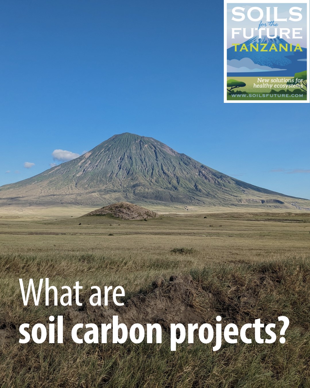 At Soils for the Future Tanzania (SftFTZ), our vision is to restore Tanzania’s degraded grasslands and savanna ecosystems to benefit nature and people – particularly those who depend directly on the land. By working with pastoral communities, we enhance grazing and fire management practices to increase soil carbon storage, a crucial step in strengthening climate resilience.
Learn more about soil carbon projects on our website, https://www.sftftz.co.tz/
