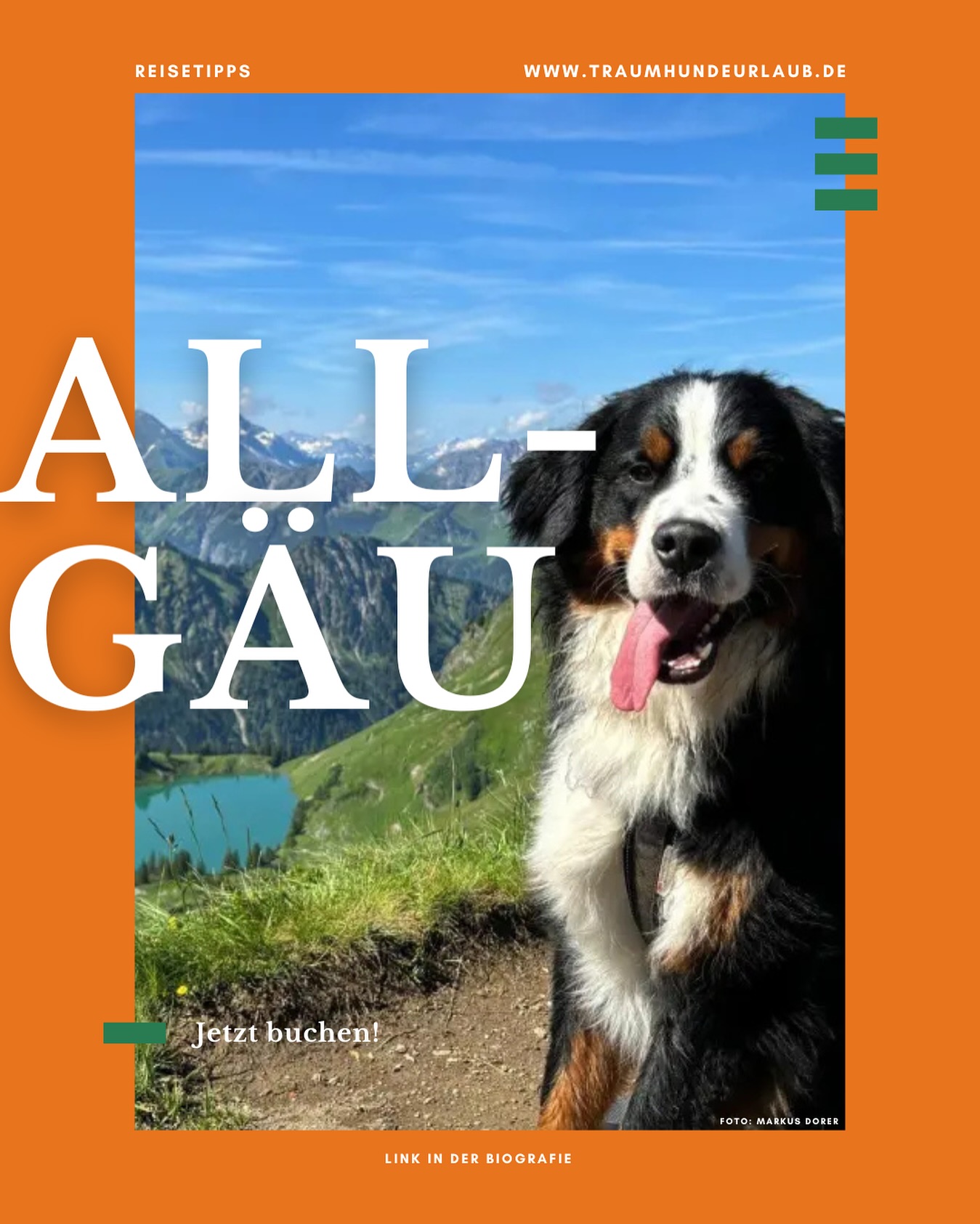🐾🏔 Bergluft schnuppern, Wiesen entdecken & gemeinsam Gipfel stürmen – das Allgäu ist ein Traumziel für dich und deinen Vierbeiner!
In unserem neuen Blogpost zeigen wir dir:
🚶♀️ Die schönsten Wanderwege mit Hund
💦 Badeplätze für Pfotenabkühlung
🦴 Hundefreundliche Einkehrtipps
Und das Beste? 🏡
Bei uns findest du gleich die passenden Unterkünfte, damit euer Allgäu-Abenteuer direkt starten kann.
👉 Link in Bio!
#urlaubmithund #allgäu #wandernmithund #hundeurlaub #bergeundpfoten #traumhundeurlaub #hundeglück #hunderunde