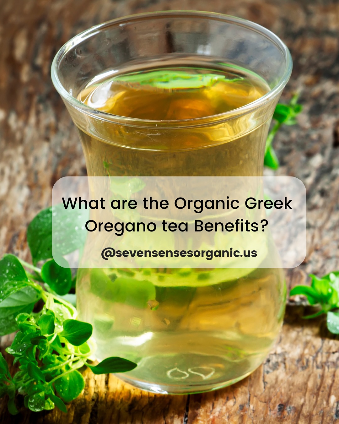 🌿 What are the Organic Greek Oregano Tea Benefits?
The perfect substitute for coffee, is oregano tea. An aromatic, handpicked infusion made from high-quality organic Greek oregano. Packed with flavor, here are all the Oregano Tea Benefits
✨ Rich in Antioxidants
🛡️ Boosts Immunity
🌱 Digestive Support
🔥 Anti-Inflammatory
💨 Respiratory Relief
🌸 Menstrual Aid
💪 Nutrient-Rich
➡️ Swipe to discover why this herbal tea is more than just delicious:
Perfect for a refreshing summer brew! ❄️☀️ Try replacing your coffee with Oregano Tea, you’ll love the switch!
#GreekHerbalTea #OreganoTea #HerbalWellness #SevenSensesOrganic #NaturalImmunity #OrganicTea #TeaForHealth #LooseLeafTea #DigestiveHealth #TeaLovers