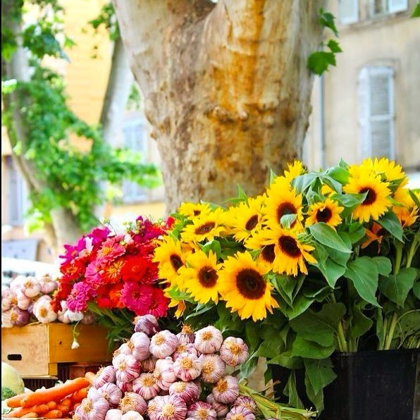 Jour de Marché à Aix-en-Provence 🌻 #marketday
#provencefrance #frenchsummer #aixenprovence #frenchmarket #sunflowers #summerinfrance #frenchambience #aixmarkets
