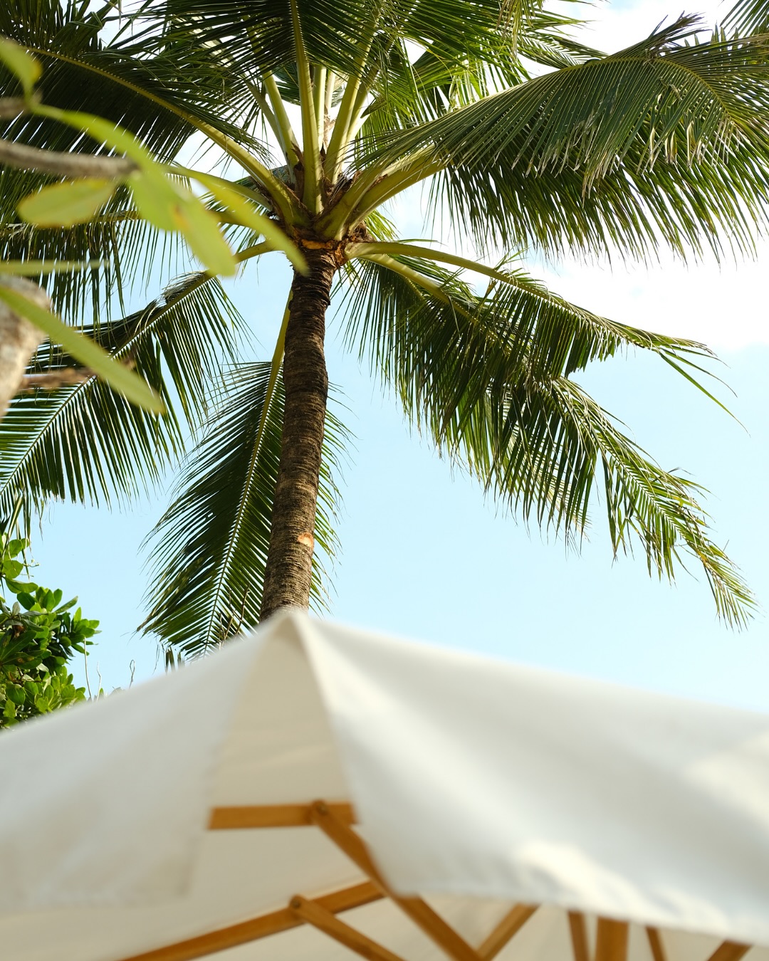 Terracotta. Linen. Filtered light.
You’ll know you’re here by the way it feels.
The softer side of @mrssippybali