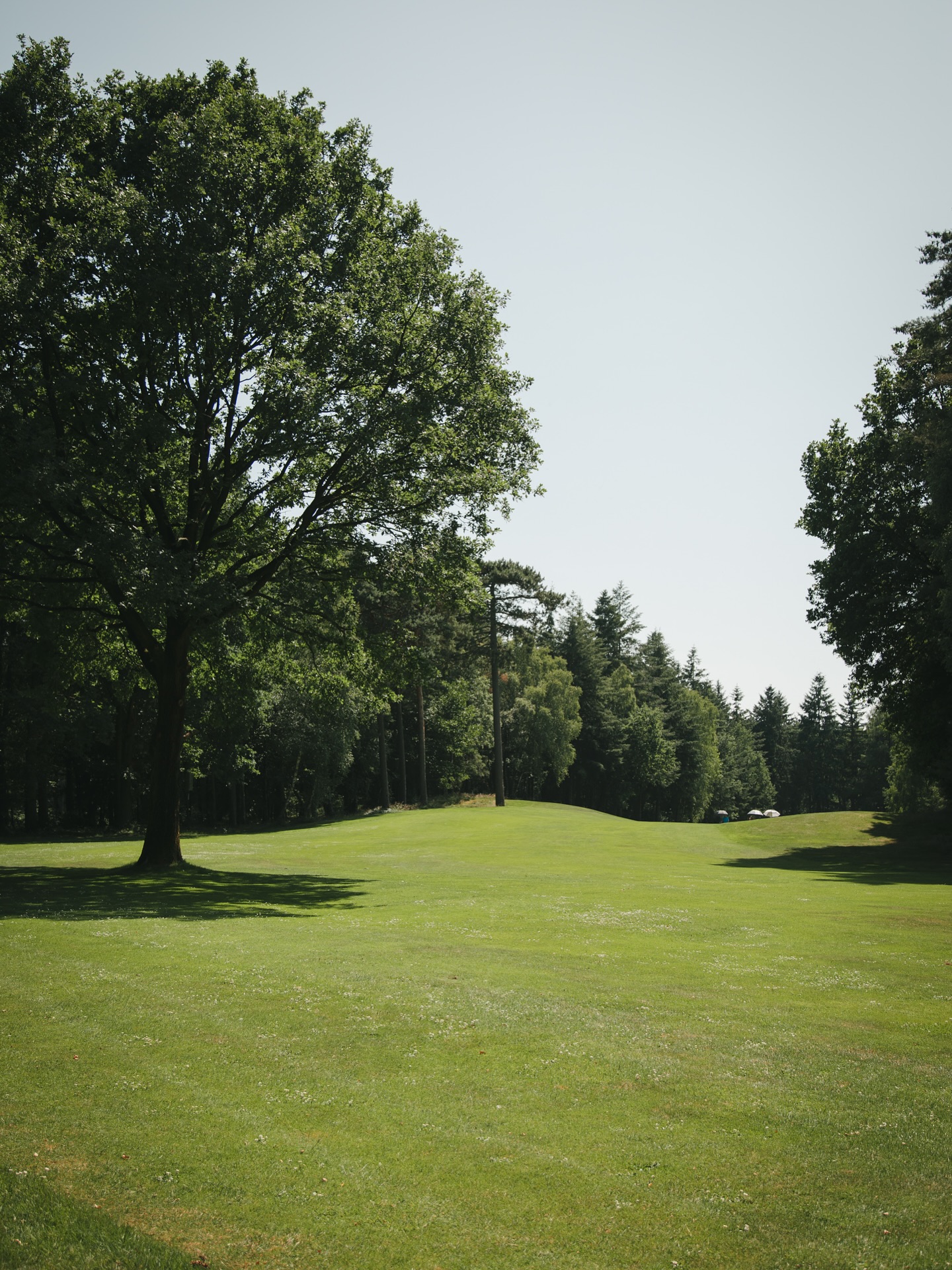 Impressionen vom Golfplatz. #golf #golfdeutschland #golfcourse #golfcoursephotos