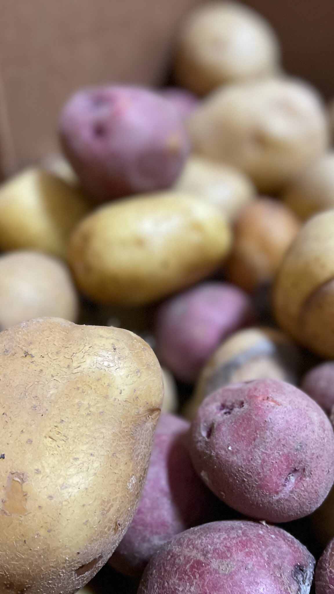 🥔 This week, we’re thrilled to be receiving over 50 pounds of rescued potatoes from our amazing partners @brfoodbank! While these spuds aren’t the prettiest, they’re perfectly edible and they’re headed straight to our Rescue Food Kitchen, where they’ll be turned into a nourishing potato and broccoli soup for the families and partners we serve. 😋🥦
We’re so grateful for this partnership and the shared mission to reduce food waste and feed our communities.
#FoodRescue #ThreeOClockProject #ZeroWaste #CommunityMeals #SoupWithSoul
