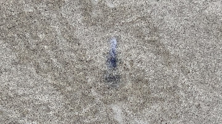 gràinneanach /graːNənəx/
bua. coi. -aiche
1 pertaining to grains 2 grainy, granular
#gàidhlig #gaelic #placebased #sitespecific #lèirsinn