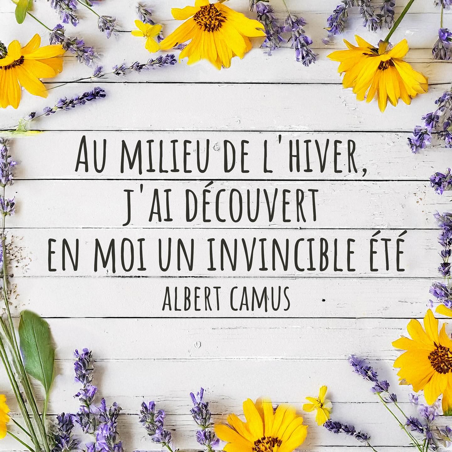 “In the midst of winter, I found there was, within me, an invincible summer” - Albert Camus  #nevergiveup 
#quoteoftheday #frenchquote #summer #frenchsummer #summerinfrance