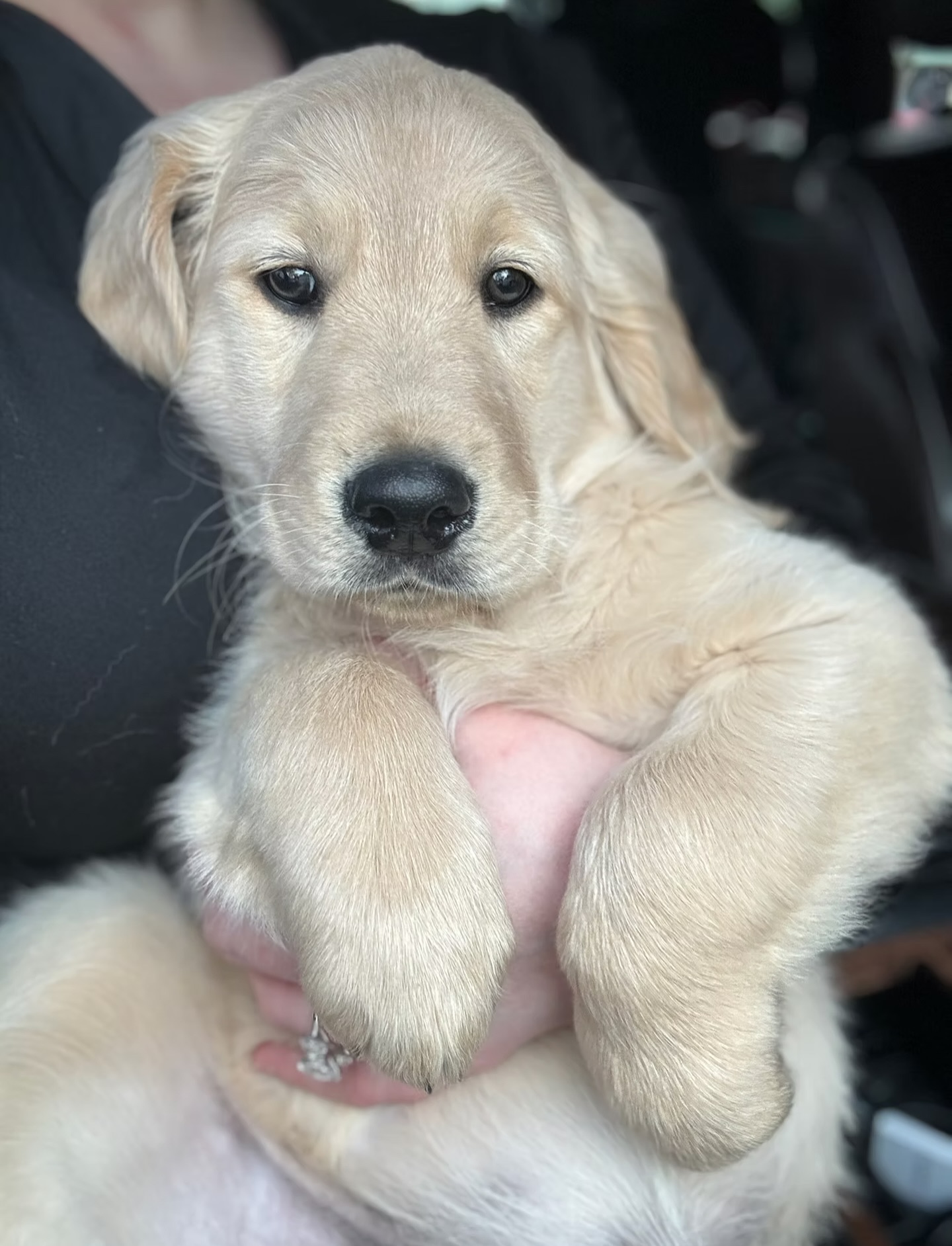 Teddy Bear Tuesday 🧸