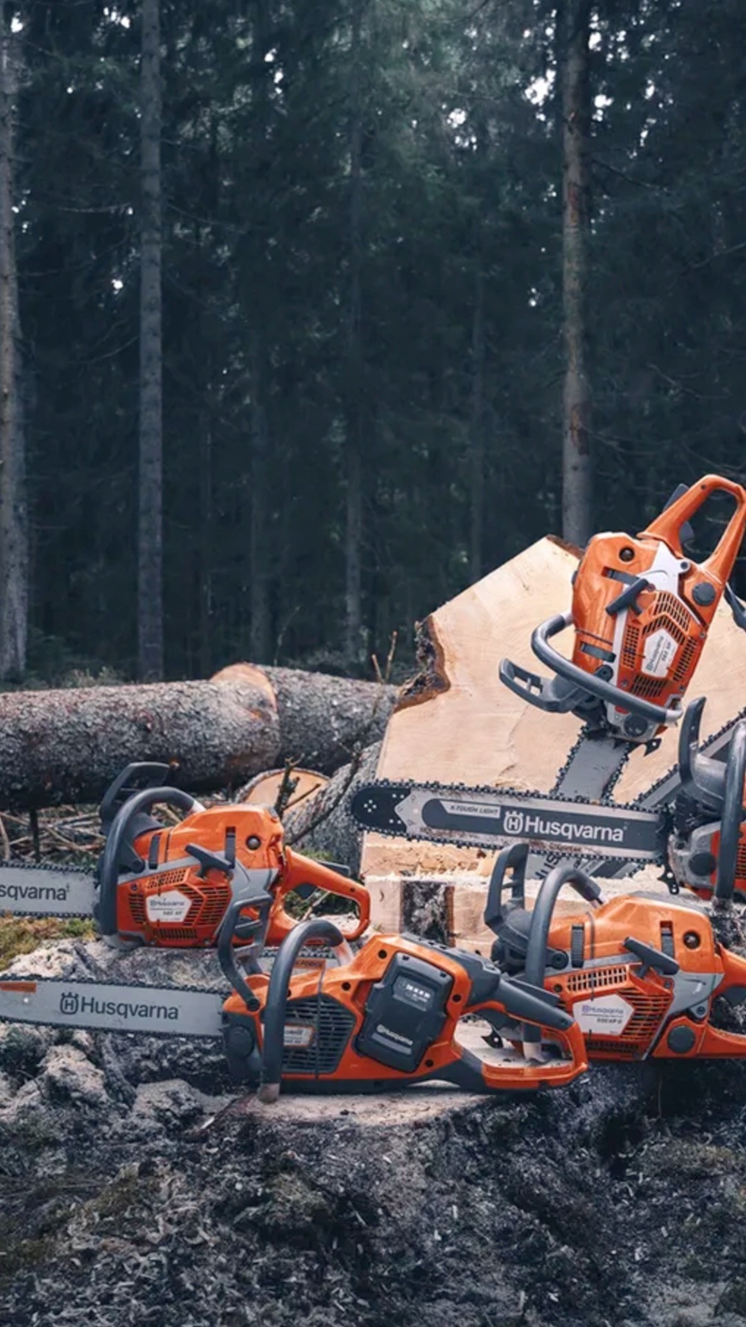 🌲 Ob im professionellen Forst, bei der Gartenpflege oder auf dem Bauernhof. Mit einer Kettensäge von Husqvarna bist du für jede Herausforderung gerüstet. Langlebig, zuverlässig und leicht zu bedienen. Egal, ob du täglich im Einsatz bist oder nur ab und zu zur Säge greifst.
Jetzt entdecken bei uns in Lenzburg. 💪