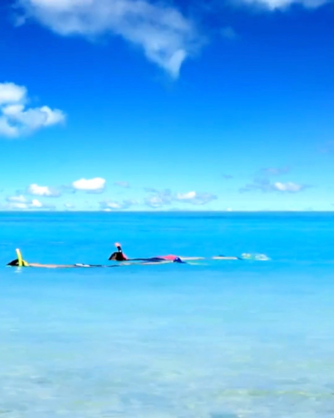 No crowds. No rush. No schedule.
Just you… floating through a watercolor dream.
This is what happens when your yacht drops anchor in a place few ever reach—
where the only thing on the agenda is wonder.
Island Yachts. You in?
#IslandYachtsBahamas #BahamasBlues #PrivateCharterEscape #SnorkelStateOfMind #LuxuryUncharted #DriftAndDiscover