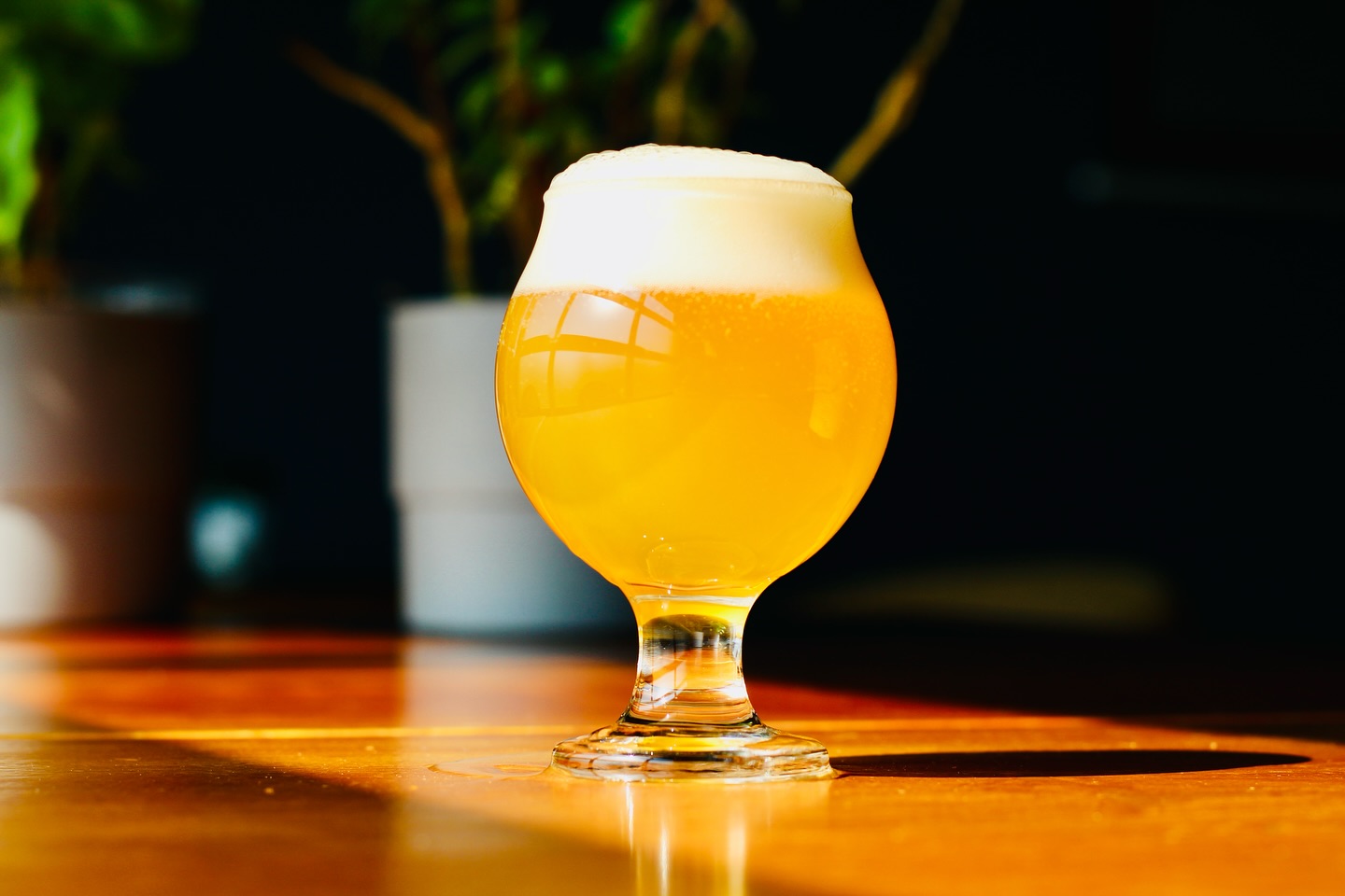 Yellow Square 🟨 IPA is back in bottles for a limited time. When it’s gone it’s gone. 24 bottle allotment limit per customer. #ipa #ottawabeer #ottawabeersociety #ottawaphotographer #smallbatch #manorpark #ontariobreweries #canadianbrewery