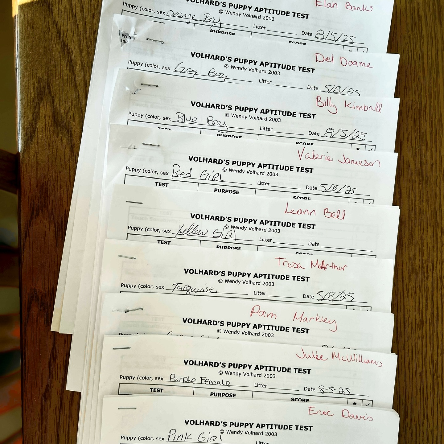 PUPPY MATCHES!!! I tried to video everyone but I loose track! If you didnāt see you baby let me know and I will get another video. Theyāre getting their first set of shots this morning!