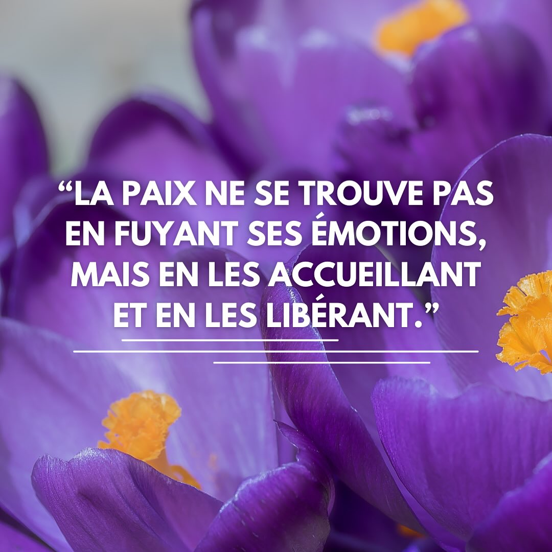 ✨ « La paix ne se trouve pas en fuyant ses émotions, mais en les accueillant et en les libérant. » ✨
Nos émotions sont comme des vagues 🌊 : elles montent, elles descendent… et parfois, elles nous submergent.
L’EFT (Emotional Freedom Techniques) nous aide à surfer sur ces vagues plutôt que de nous laisser engloutir.
En tapotant doucement sur des points précis du corps, on invite le stress, la peur ou la tristesse à se relâcher… pour laisser place à plus de calme, de clarté et de légèreté 💛.
Rappelle-toi : accueillir une émotion, ce n’est pas la nourrir… c’est lui offrir un espace pour s’éteindre.
#EFT #LibérationÉmotionnelle #DéveloppementPersonnel #BienÊtre #GestionDuStress #MindsetPositif