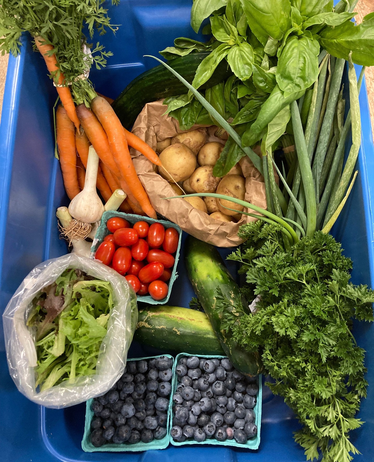 Scenes from Wednesday, in a word, gorgeous! We're saying hello to all the gorgeous berries and berry coloured blooms, hello grape tomatoes, hello field cucumbers and also goodbye @whatonearthfarms visiting family who was so helpful on Wednesdays this month. That shirt is awesome!â
â
Get your order placed by Monday 7pm to receive a bin of your own next week. When confirming your order, add PROMO CODE: NSLOYAL10 to receive 10% off. Thank you @novascotia.loyal for supporting our awesome customers with this discount.â
â
Blue Bin featuringâ
@longspellpointfarm spray-free Basil, Carrots & Grape Tomato pintâ
@farmeremilytebogt organic Yukon Gold Potatoes, Cucumbers & Green Onionâ
@whatonearthfarms spray-free Cucumber, Parsley, & Garlicâ
@buttonbrookfarm spray-free Crunchy Salad Mix
â @littlefloragem spray-free Blueberries
Bouquet by @twobirdsonestonefarmâ
â
#localfoodmovementâ
#novascotialocalâ
#farmfoodâ
#novascotiafoodâ
#eatlocalfoodâ
#csafarmâ