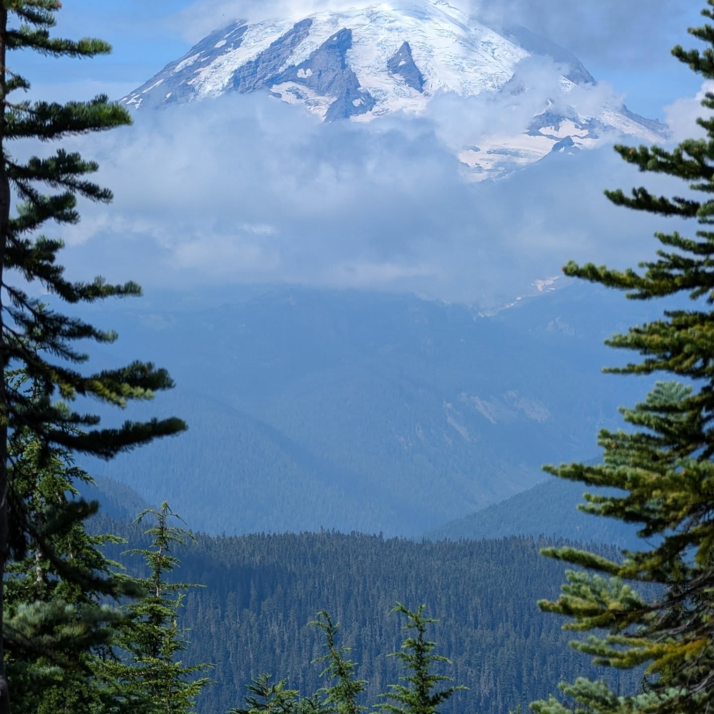 Successfully outran the rain. I only recognize tiny pieces of the trail through here. Probably to be expected when hiking something over ten years later, in the other direction, in a different season.
PCT WA
Snoqualmie Pass to White Pass