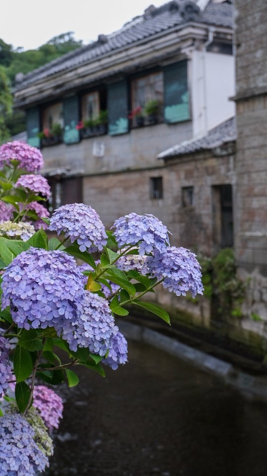 On reste humble !
🪳 Franz Kafka
Kafka n'a jamais vécu de sa plume et écrivait la nuit, après son travail dans une compagnie d'assurance. Il connaîtra le succès à titre posthume.
🐙 H.P Lovecraft
Bien qu'il soit considéré comme un maître de la littérature fantastique, Lovecraft n'a jamais gagné sa vie avec l'écriture. Il a vécu dans la précarité jusqu'à sa mort, en enchaînant des petits boulots dans la traduction et la correction (déjà à l'époque, ces domaines-là payaient mal).
🔍 Agatha Christie
Apothicaire dans un hôpital pendant la guerre, puis mère au foyer, elle écrivait sur son temps libre. Elle est devenue célèbre plusieurs années après ses débuts grâce à son roman "Meurtre de Roger Ackryod".
☁️ Louis-Ferdinand Céline
Céline était médecin ! Il a même continué d'exercer après le succès de "Voyage au bout de la nuit". Comme Agatha Christie, il écrivait sur son temps libre.
🎬 Marguerite Duras
Fonctionnaire, puis scénariste, elle a longtemps vécu dans des conditions modestes, jusqu'à ce qu'elle trouve un équilibre entre la littérature et le cinéma.
PS: la malédiction de Kafka ? J'ai recommencé trois fois ce reel avec des photos différentes et il est toujours flou 😅
Mots-clés: métier passion - écrivains - romans - bookstagram - littérature
Hashtags : #viedauteur #ecrivain #bookstagram #roman #littérature #précarité #métierpassion