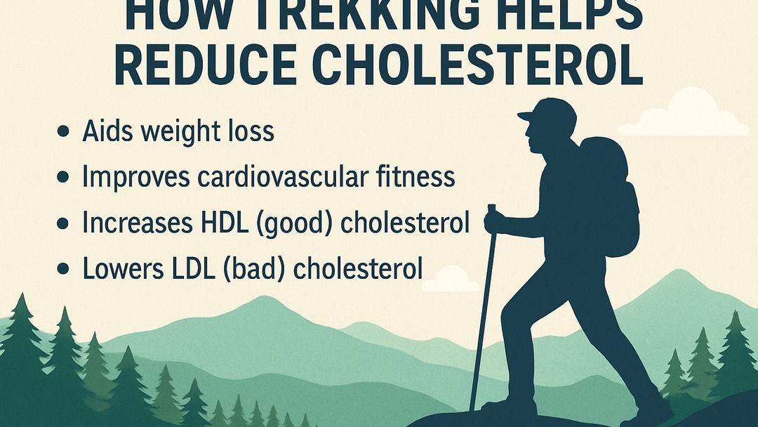 Want to lower your cholesterol? 🌟 Trekking could be the answer! Discover 5 supplements that might help on our blog. Link in Bio #HealthyLiving #Trekking #Cholesterol