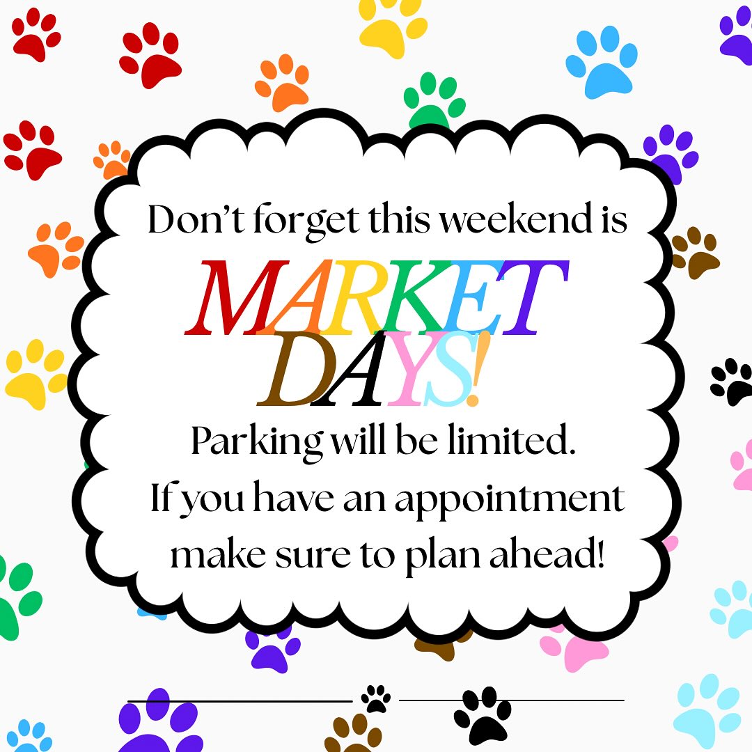 August 8th-10th is Market Days! 🏳️🌈🏳️⚧️
Appointments that are more than 10 minutes late will have to be rescheduled 🙂