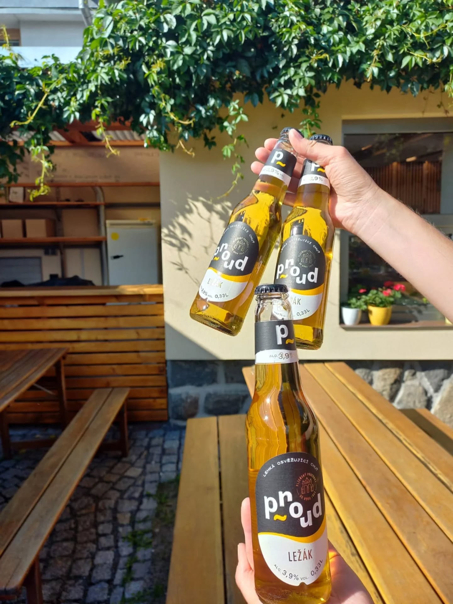 Dnes novinka na baru - PROUD LEŽÁK! Pivo ležák ochucený, ležák nové generace. Akce 2+1 zdarma. #obratproud 🍻 @pivoproud