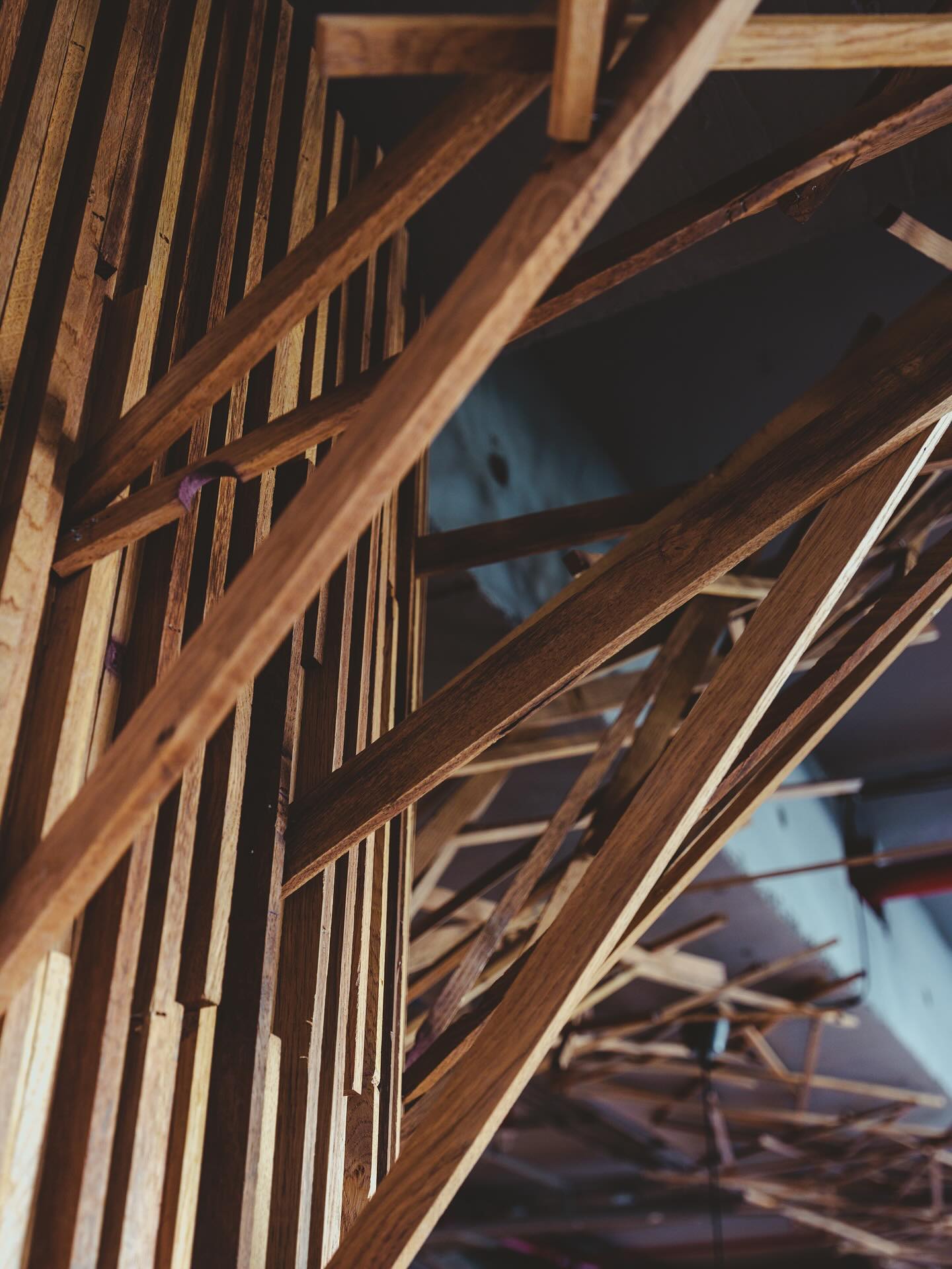 Diseño que se esconde. Desde abajo, parece que las ramas crecieran libremente. Pero detrás de esa naturalidad hay diseño, precisión y mucha presencia en obra de @pizarrastudio .
En @miscelaneo.bar, la corteza asciende y se transforma en ramas que se ramifican hacia el cielo. Son cuatro tipos distintos, con diferentes largos, grados de giro y ubicaciones de nacimiento. Estudiamos su comportamiento y posición para que parecieran impredecibles, pero que pudieran construirse sin margen de error.
Cada rama fue diseñada con un patrón que simula lo aleatorio, evitando repeticiones. El encaje entre piezas no es superpuesto: desarrollamos un sistema tipo ensamblaje japonés, donde cada madera se incrusta en otro como una única pieza, aportando solidez y nobleza al gesto.
La materia también habló. Usamos duelas recuperadas de la industria vitivinícola: una madera hermosa, con tonos cálidos y vetas únicas, pero con sus propios desafíos. Algunas piezas tenían perforaciones originales, y otras mostraban bordes teñidos de un morado profundo. Decidimos dejarlo visible. Porque creemos que cada espacio cuenta parte del viaje de ese material, desde las barricas hasta esta instalación.
Y sobre ese patrón -sobretodo en el cielo- vino la parte más viva: estar en terreno, dictando una a una la ubicación de cada rama, acompañando al equipo en la construcción de esta estructura que cubre el espacio, conecta los árboles, y genera un portal de madera natural, inesperado.
Así construimos la atmósfera de @miscelaneo.bar : desde el oficio, el arte y la implicación.
Ponle #estrategia, #creatividad y una buena cuota de #arte.
#RestaurantDesign #InteriorDesign #BarDesign #HospitalityDesign #WoodDesign
#DiseñoDeRestaurantes #Interiorismo #ArquitecturaInterior #SustainableDesign
#RetailConSentido #EspaciosConIdentidad #InstalaciónArtística #DiseñoEscultórico #PizarraStudio #retaildesign